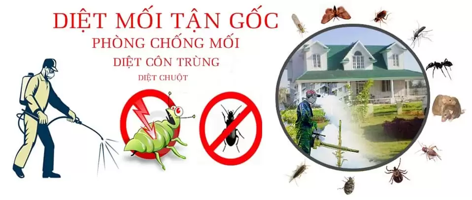 Trang Chủ